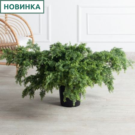 Т050/655(Пр)(F) Можжевельник искусственный куст h50см