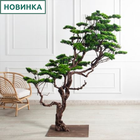 БЛ180/Д3/30(з)(УУ)(F) Бонсай искусственный h180-104см  на основании