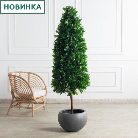 180/ДК/ШТ/188(Пр)(F) Лавр искусственный конус h180см (латекс)