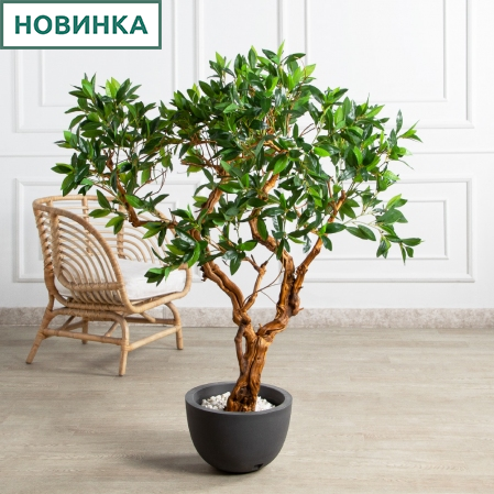 130/ДЗ/188(Пр)(F) Лавр искусственный h130см (латекс)