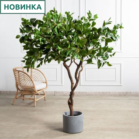 150/ВИТ/497(Пр)(F) Фикус искусственный h150см 150/ВИТ/497(Пр)(F) Фикус искусственный h150см