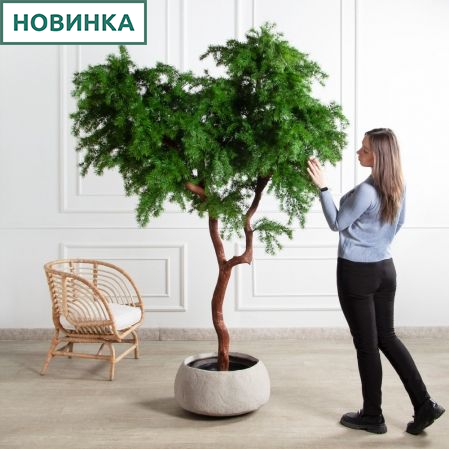 220/ВИТ/АСС/310(Пр)(F) Лиственница искусственная  h220см