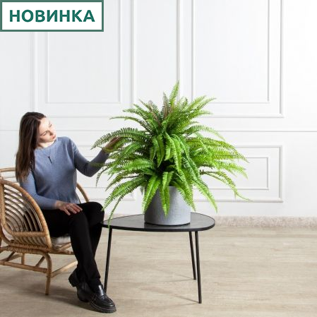 070/К/414(Пр)(F) Папоротник Экзальтата искуственный h70см