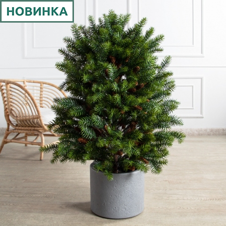 100/657(Пр)(F)  Куннингамия ланцетолистная искуственная h100см