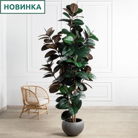 250/УК/РН/186(Пр)(F) Фикус Эластика Робуста искусственный h250см,латекс 250/УК/РН/186(Пр)(F) Фикус Эластика Робуста искусственный h250см,латекс