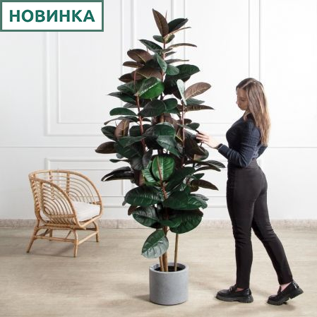 210/УК/РН/186(Пр)(F) Фикус Эластика Робуста искусственный h210см,латекс 210/УК/РН/186(Пр)(F) Фикус Эластика Робуста искусственный h210см,латекс