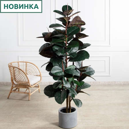 180/УК/РН/186(Пр)(F) Фикус Эластика Робуста искусственный h180см,латекс 180/УК/РН/186(Пр)(F) Фикус Эластика Робуста искусственный h180см,латекс