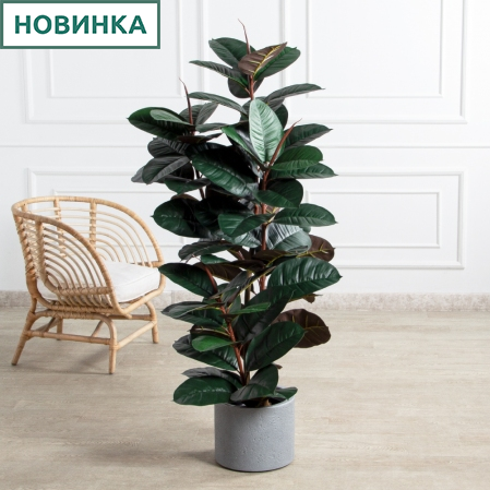 150/УК/РН/186(Пр)(F) Фикус Эластика Робуста искусственный h150см,латекс