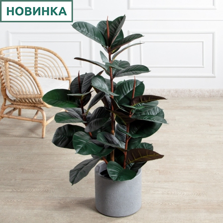 120/УК/РН/186(Пр)(F) Фикус Эластика Робуста искусственный h120см,латекс