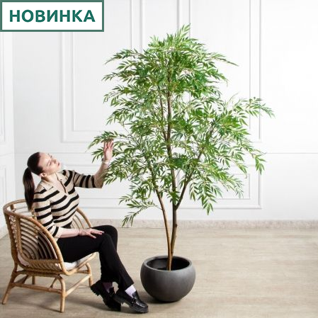 200/РН/ОК/700(Пр)(F) Магония искусственная h200см,(латекс)