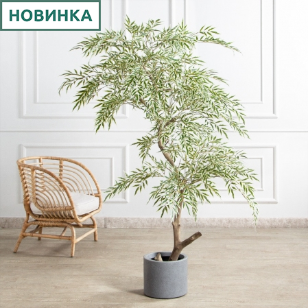 170/РН/АСС/701(Пр)(F) Магония искусственная h170см,зелено-белая,(латекс)