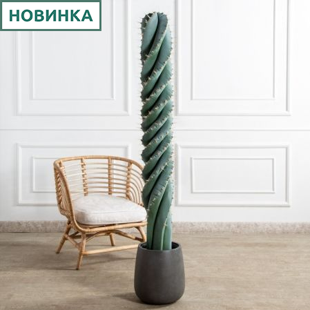 КА010(з)(F) Кактус искусственный витой Карнегия  h160см