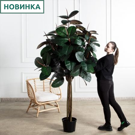 210/ШК/РН/186(Пр)(F) Фикус Эластика Робуста искусственный h210см (латекс)