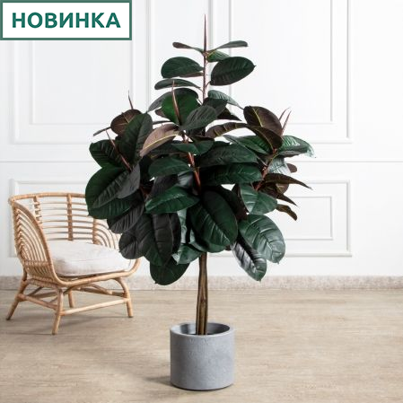 150/ШК/РН/186(Пр)(F) Фикус Эластика Робуста искусственный h150см (латекс)