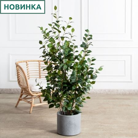 150/К/РН/705(Пр)(F) Фикус искусственный кустовой h150см (латекс)