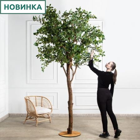 290/РН/84-1(з)(F) Шеффлера искусственная h290 d160х65см на фанерн.основании d50 290/РН/84-1(з)(F) Шеффлера искусственная h290 d160х65см на фанерн.основании d50