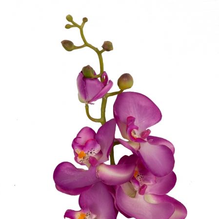 401/0437А Орхидея искусственная h-85см (6г+7б)