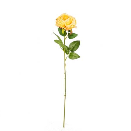 401/6002С Роза кустовая одиночная