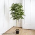 180/3К/75/2(Пр) Бамбук искусственный 3 ствола, h180см (латекс)