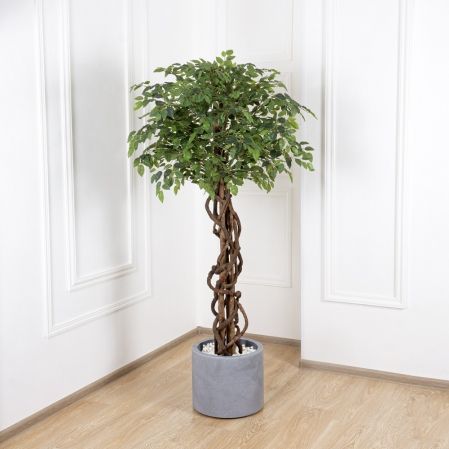 180/ПЛ/34 Фикус h180см(латекс)