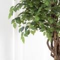 180/ПЛ/34 Фикус h180см(латекс)