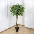 180/РПК/17 Фикус Бенджамина искусственный h180см (латекс)