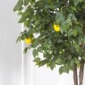 180/РПК/20М Лимон искусственный с плодами h180см (латекс)