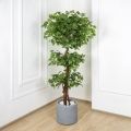 180/Я3/ОС/34 Фикус искусственный h180см (латекс)