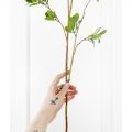 220/РН/200(Пр)(F) Дерево искусственное с распускающимися листочками h220см