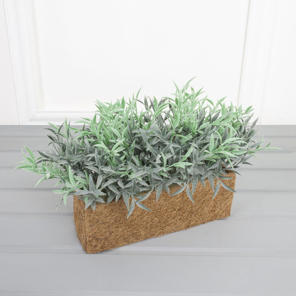 Rosmarinus officinalis. Розмарин 1. Розмарин 1. Rosmarinus officinalis. Розмарин цветы.