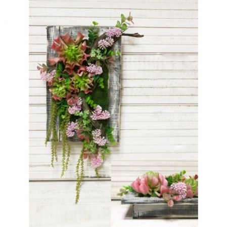 СКФ02-3 Фитокартина с суккул. в дер.раме(роз)25*39