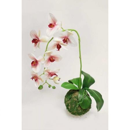ККД47/217 Кокедама d15см "Орхидея" бело-малиновая(латекс)