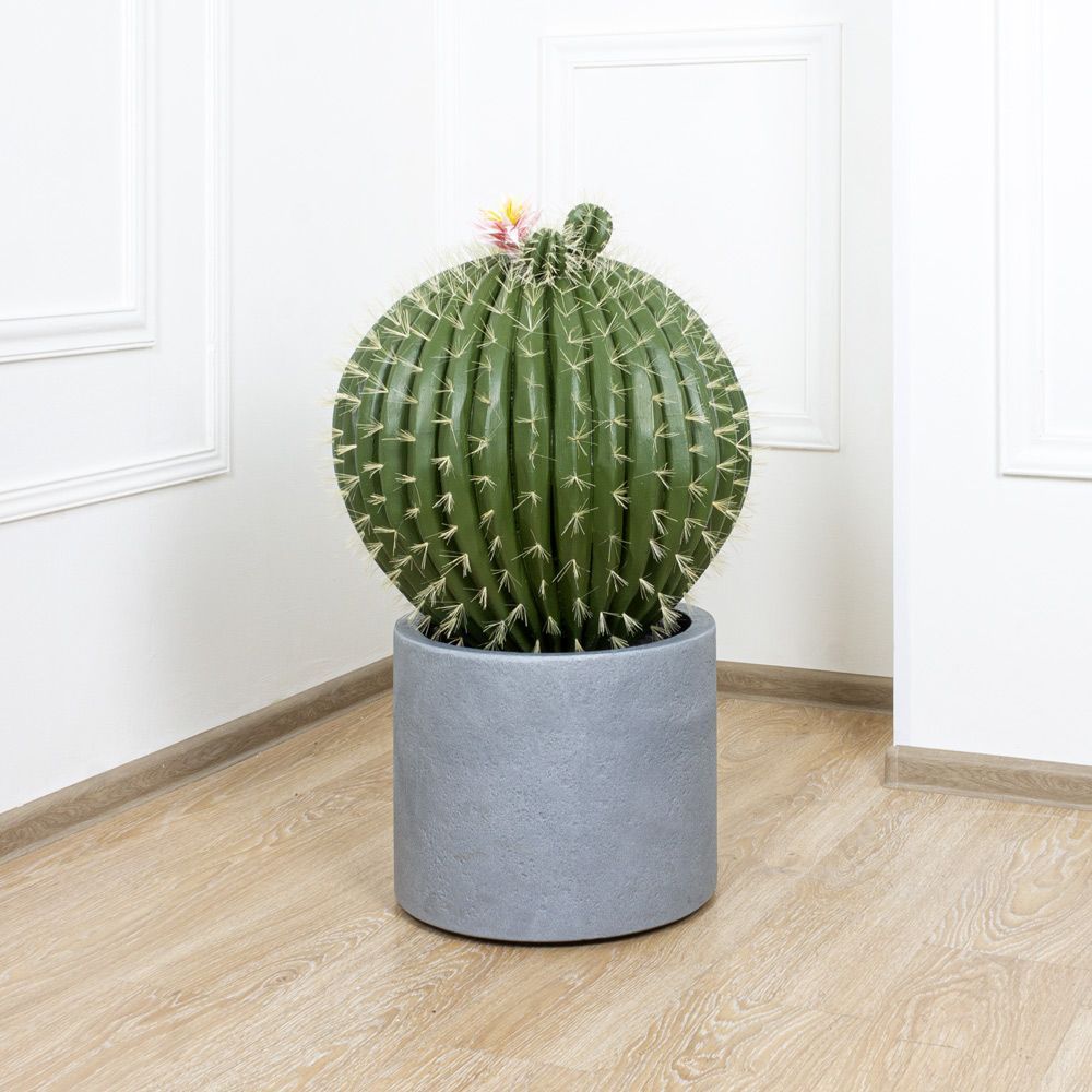 кактус с глазами. свеча "кактус" 7см 94811. мутации кактусов. искусственные кактусы в горшке. кактус 7.