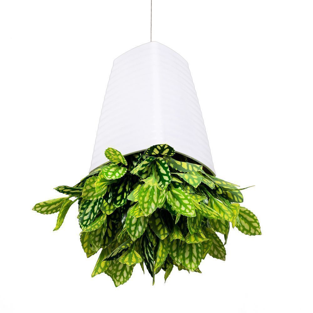 Растение вверх. Кашпо в виде капли. Искусственные вьющиеся растения. Пилея в подвесном кашпо. Перевернутое кашпо.