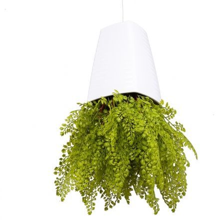 СП06 Sky Planter Адиантум папоротник искусственный h20 в кашпо (17х17х21см)