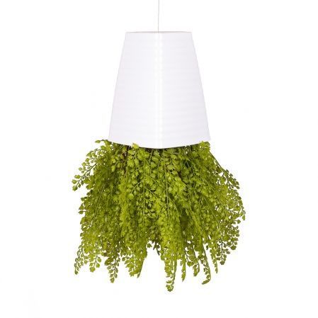 СП06 Sky Planter Адиантум папоротник искусственный h20 в кашпо (17х17х21см)
