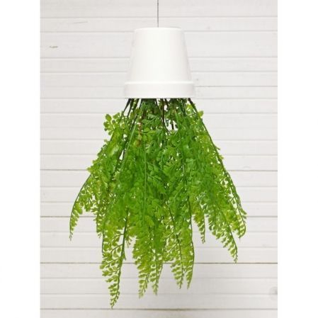 СП08-1 Sky Planter Даваллия(папоротник) h28см(силикон)  в кашпо d11см