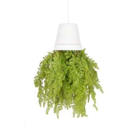 СП08-1 Sky Planter Даваллия(папоротник) h28см(силикон)  в кашпо d11см