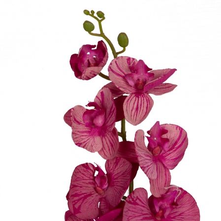 7141/0015-1 Орхидея Фаленопсис с прожилками 100см