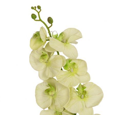 7141/0015-1 Орхидея Фаленопсис с прожилками 100см