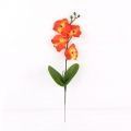 7141/00454 Орхидея мелкая (микс)  h30см (4г+3б)