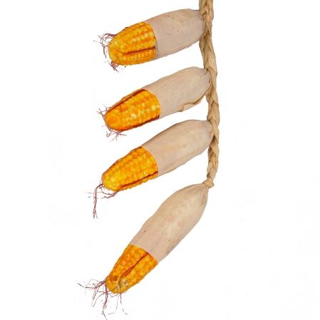 715/20018(SALE) Вязанка-кукуруза