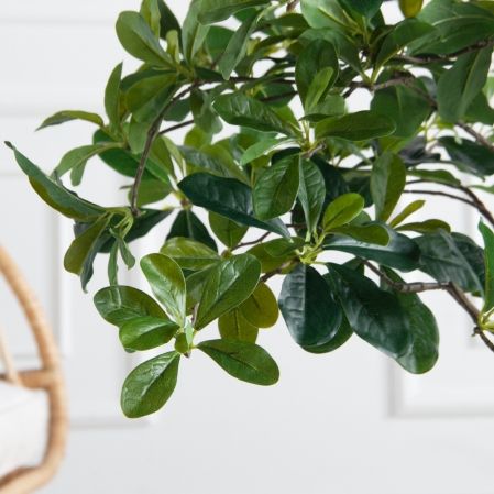 150/84(F) Шеффлера искусственная(латекс) h150см 150/84(F) Шеффлера искусственная(латекс) h150см