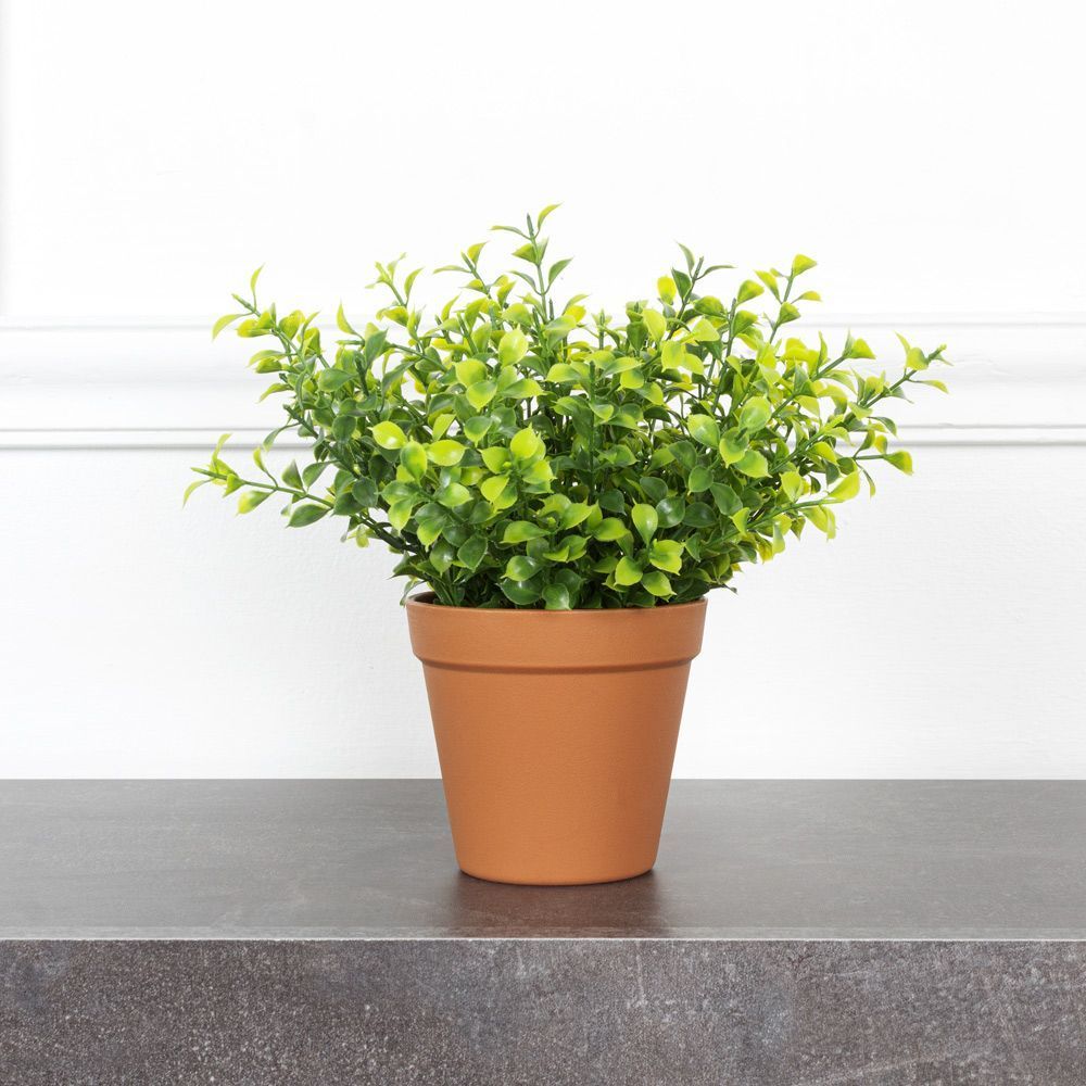 мелкий х. мелкий х. мелкий х. одежда 90 годов. красивые малыши мальчики фото.