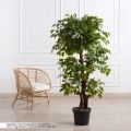 150/Я3/ОС/34(з)(F) Фикус искусственный h150см (латекс)