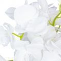 ЦК80*5/33-1 Орхидея Фаленопсис(белая) h65см(латекс) в интерьерном кашпо