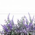 ТД042-1 Лаванда с зеленью(фиолетовая) h25см в кокосовом боксе(забеленный)25*8*8
