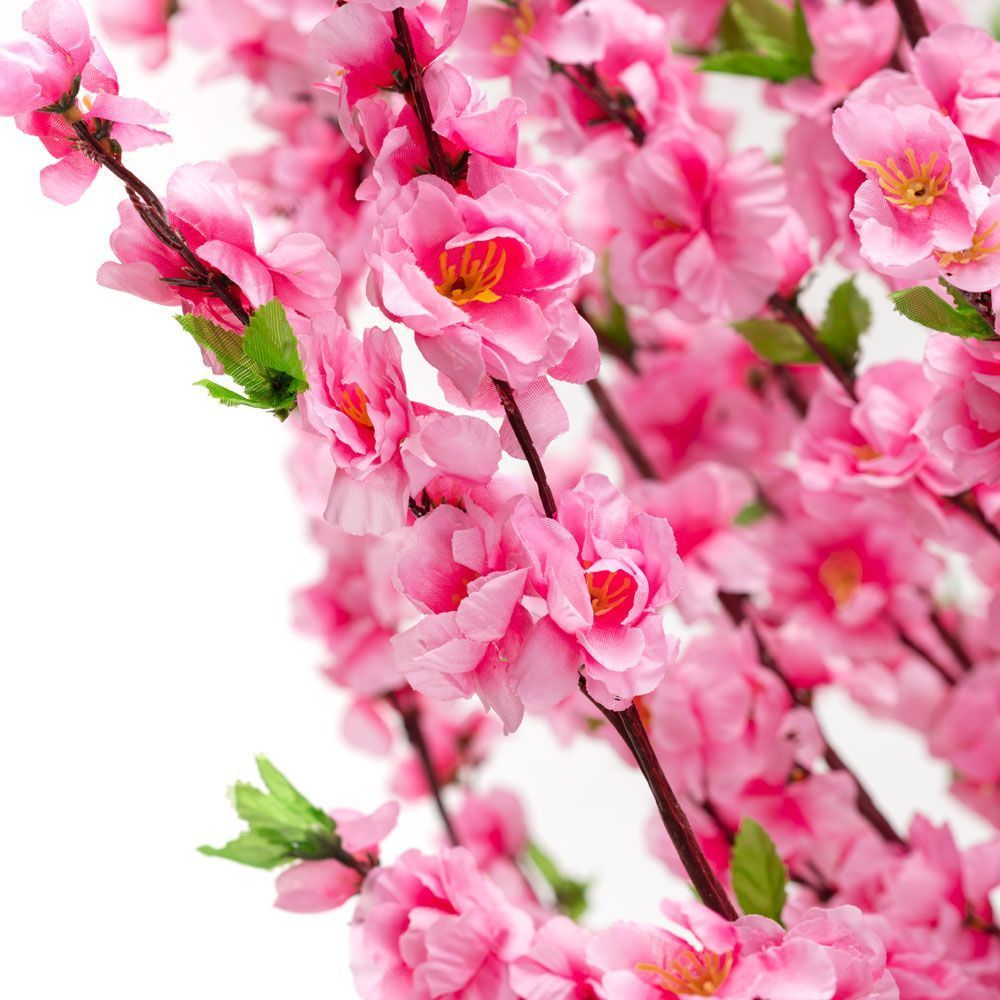 картина черри блоссом. цветение сакуры самурай япония. розовое дерево.