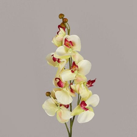 401/0438-12А Орхидея искусственная h-84см чайная (3в 10г)