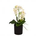 ЦС35/33-1 Орхидея искусственная h26см в интерьерном кашпо, белая